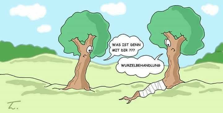 die Wurzelbehandlung - leczenie kanałowe