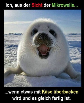 die Sicht - widoczność, widok, punkt widzenia