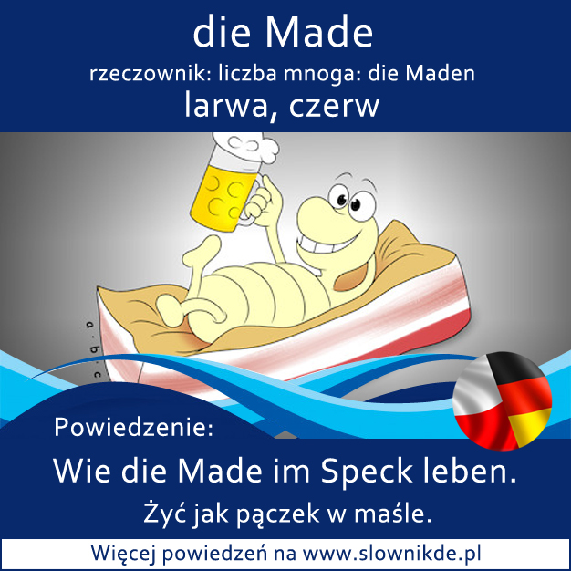 Made die Made - larwa, czerw