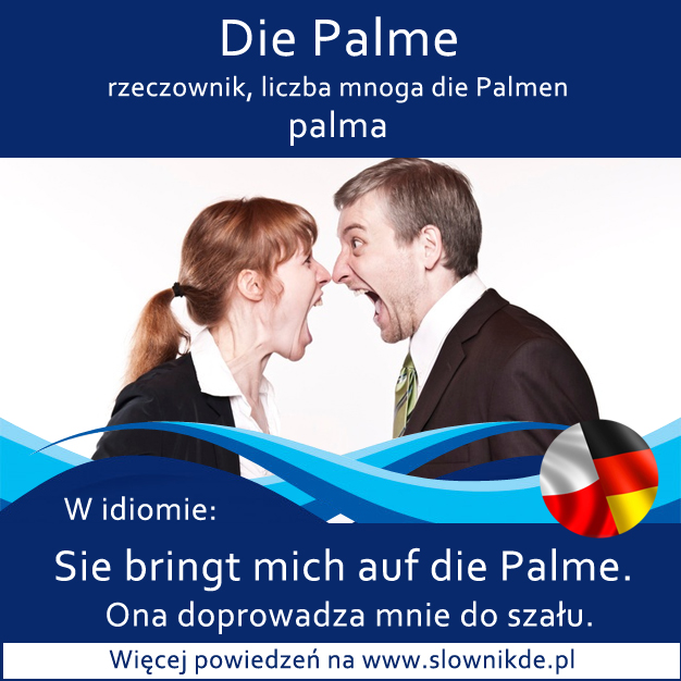Palme die Palme - palma