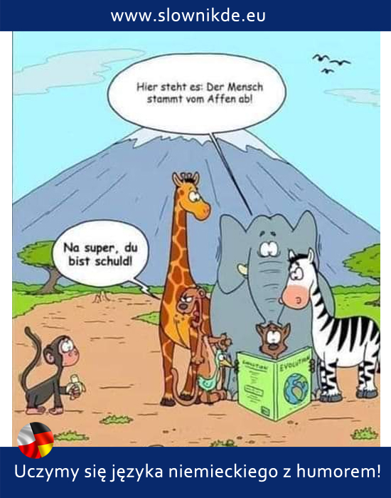 Affe