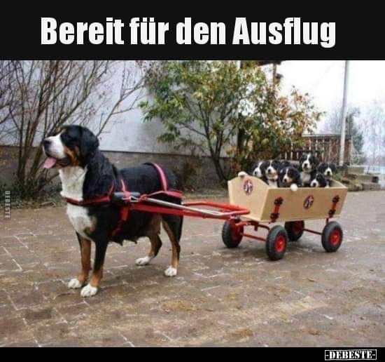 Ausflug Ausflug