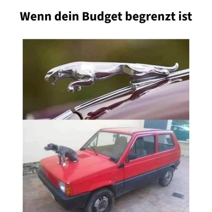 Budget das Budget - budżet