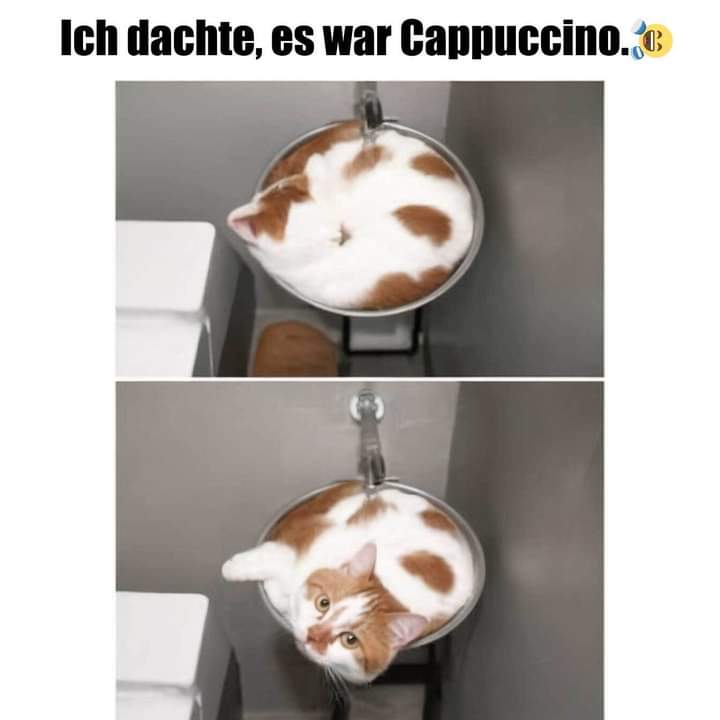Cappuccino Cappuccino