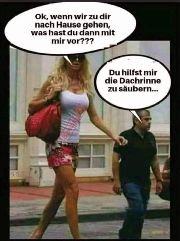 Dachrinne die Dachrinne - rynna dachowa