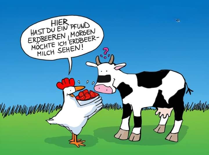 Erdbeer Erdbeer