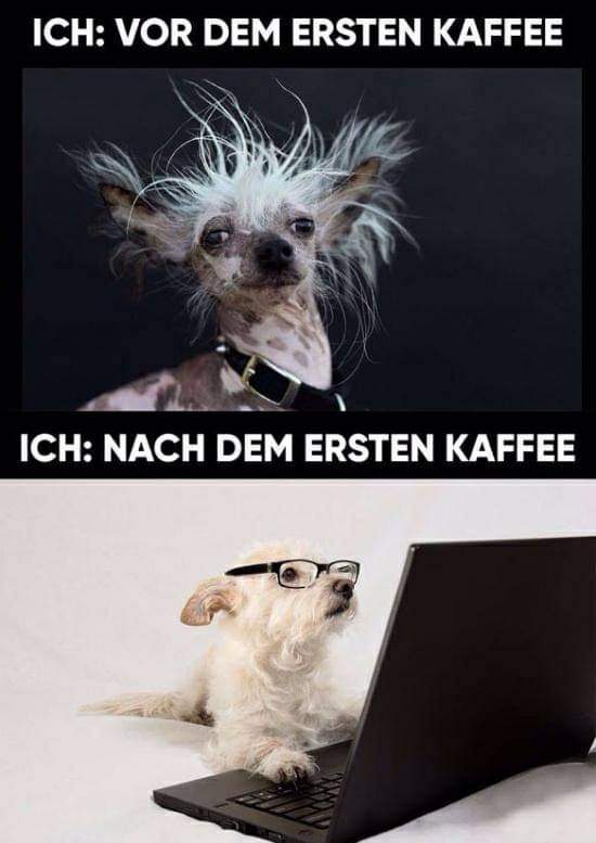 Ersten der/die/das Erste - pierwszy, pierwsza, pierwsze