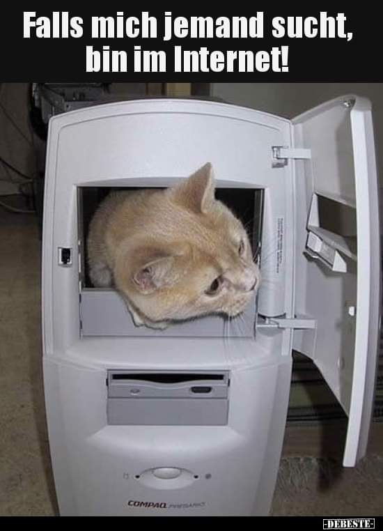 falls falls - w razie gdyby, jeśli