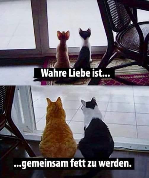 Fett das Fett - tłuszcz, sadło, smar