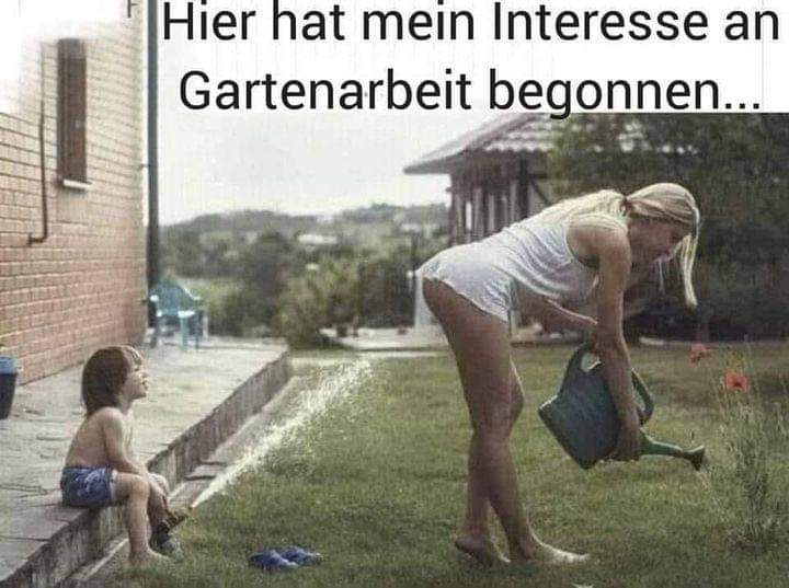 das Interesse - zainteresowanie, interes, korzyść