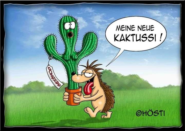 Kaktus der Kaktus - kaktus