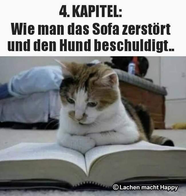 das Kapitel - rozdział
