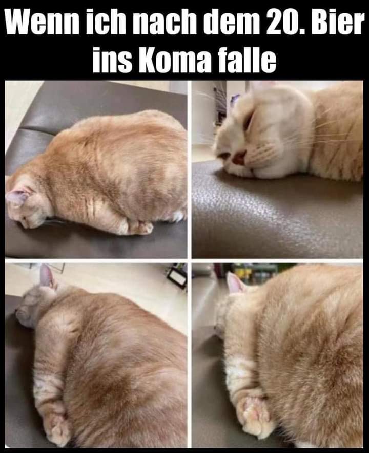 Koma das Koma - śpiączka