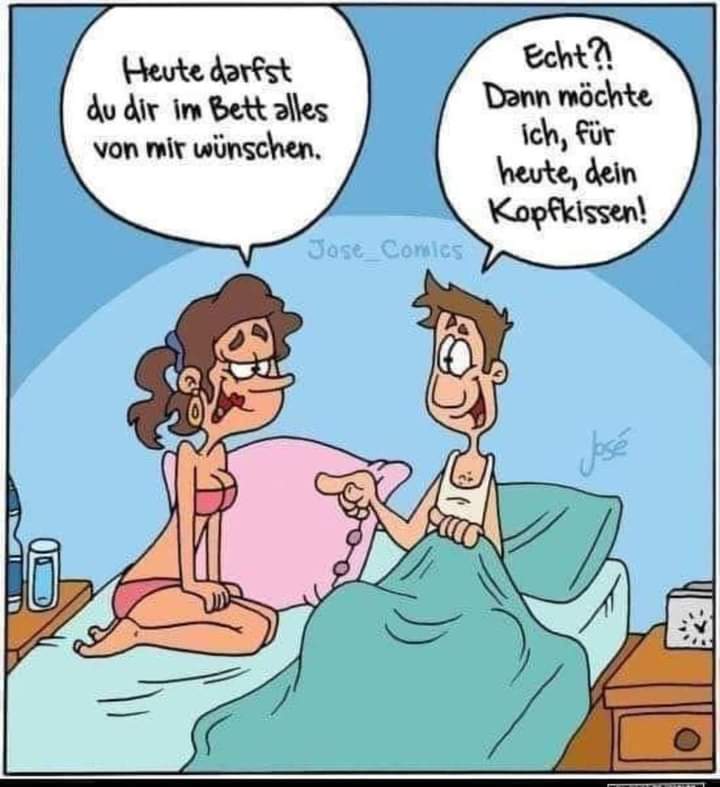 das Kopfkissen - poduszka