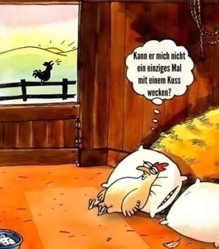 Kuss Kuss
