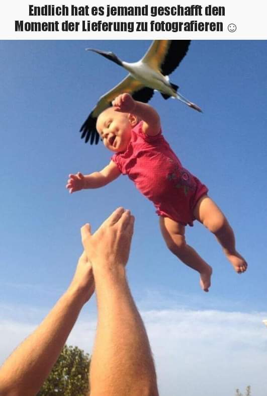 die Lieferung - dostawa