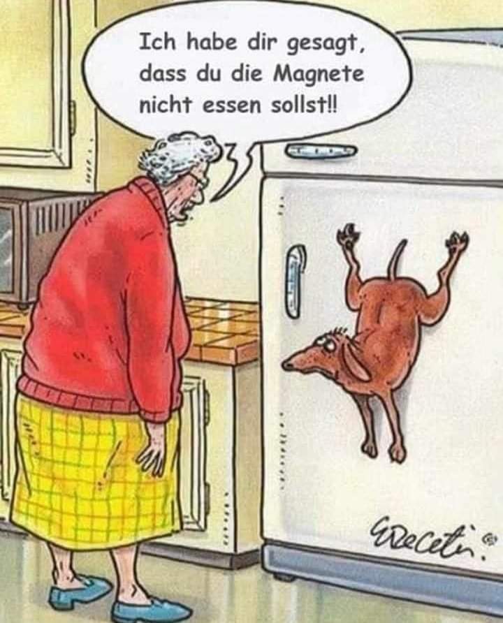 Magnet der Magnet - magnes