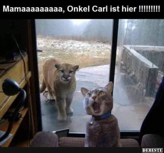 Onkel der Onkel - wuj, wujek