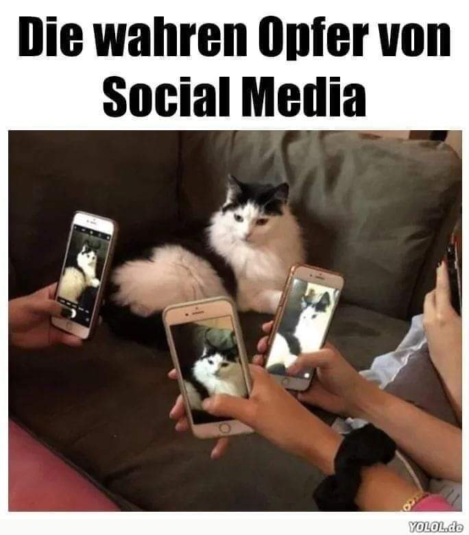 das Opfer - ofiara