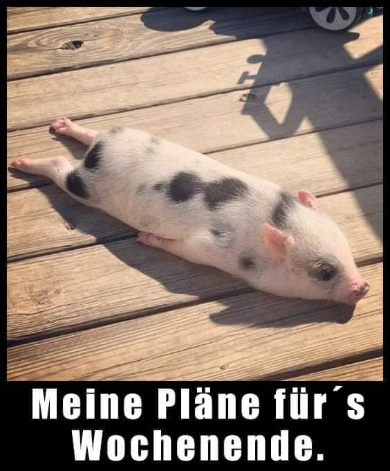 Wochenende das - weekend