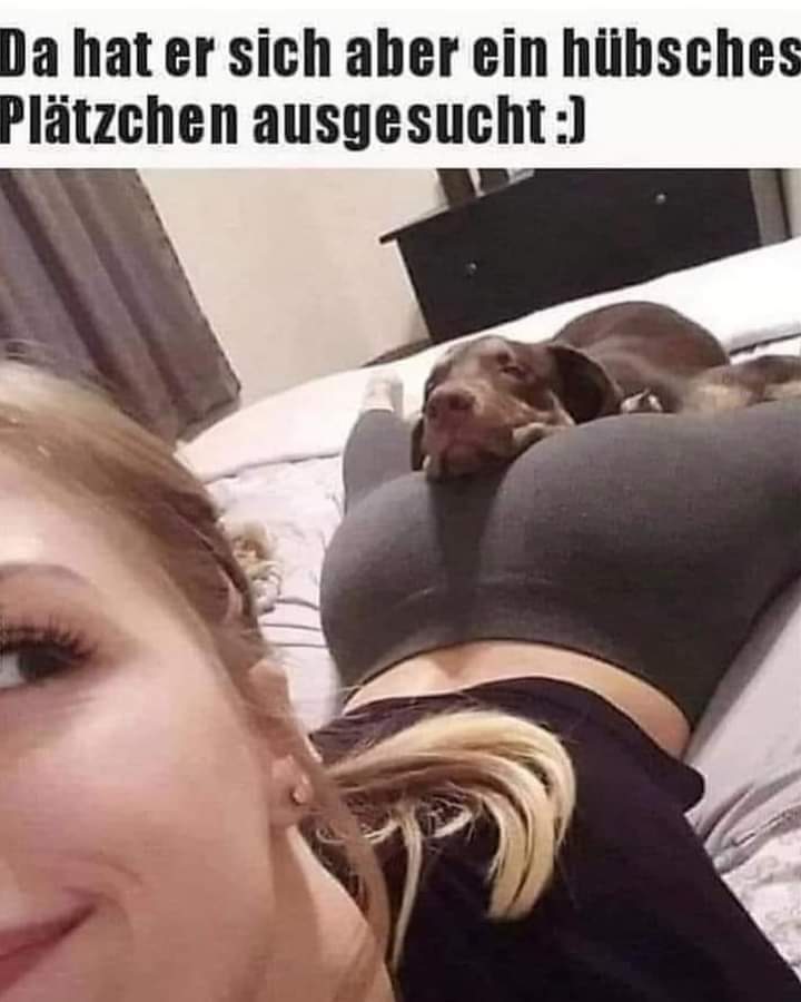 Platzchen Platzchen