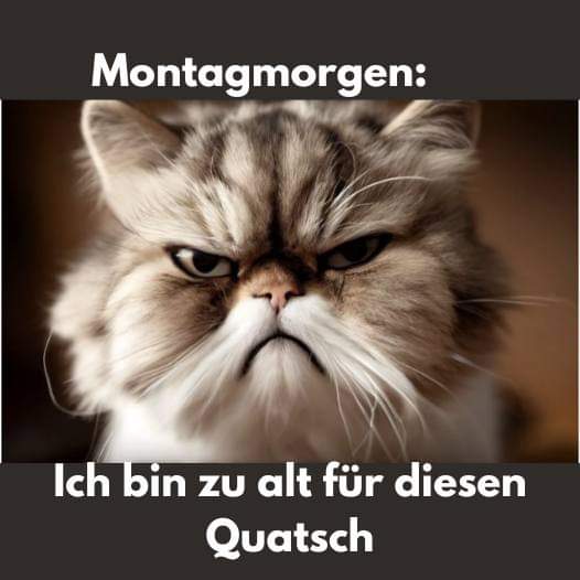 Quatsch der Quatsch - bzdura, głupstwo, brednie