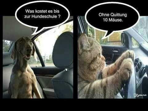 Quittung die Quittung - kwit, pokwitowanie