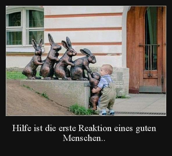 Reaktion die Reaktion - reakcja