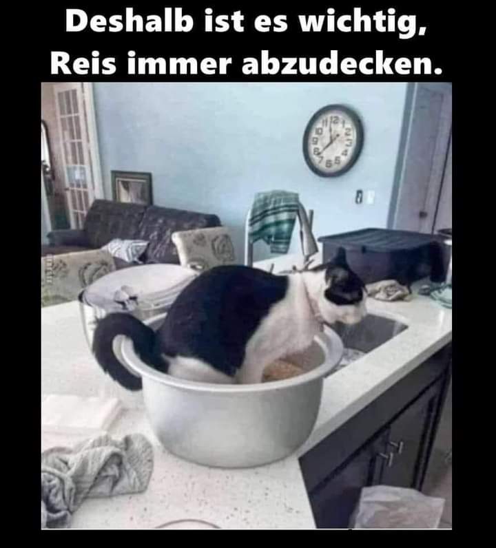 Reis der Reis - ryż