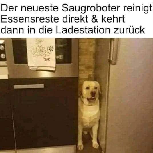 Roboter der Roboter - robot