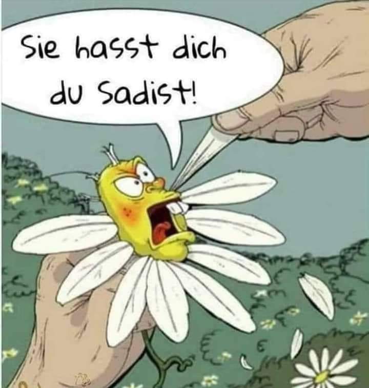 Sadist der Sadist - sadysta