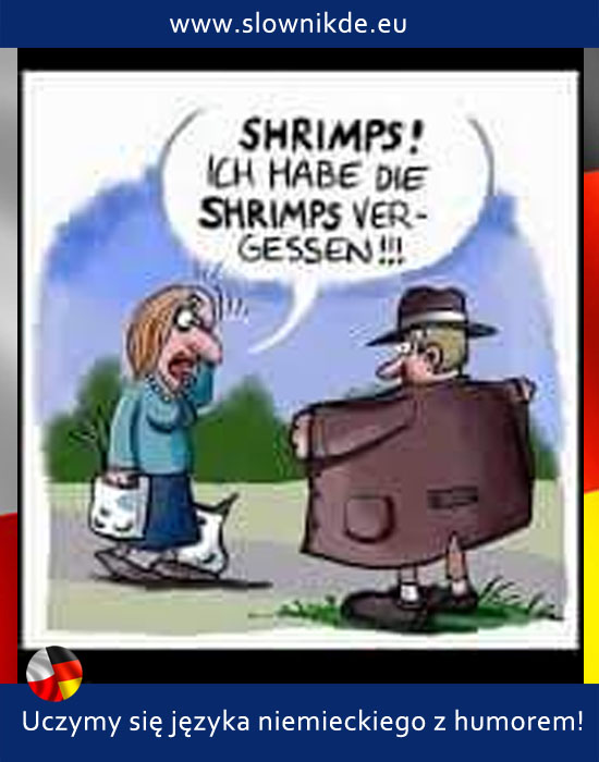 der Shrimp - krewetka