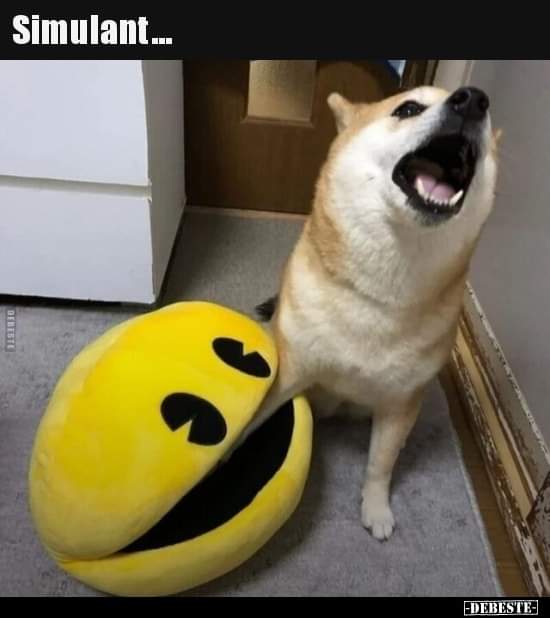 Simulant der Simulant - symulant