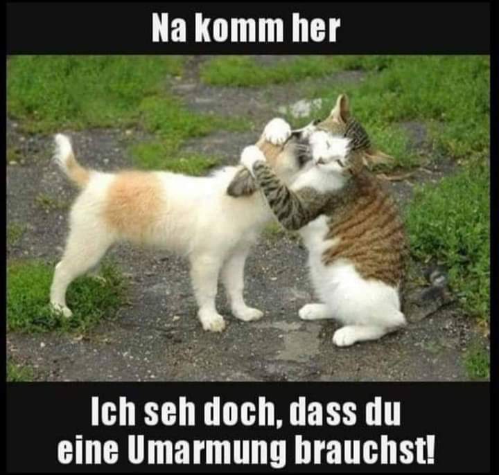 Umarmung die Umarmung - uścisk, objęcie