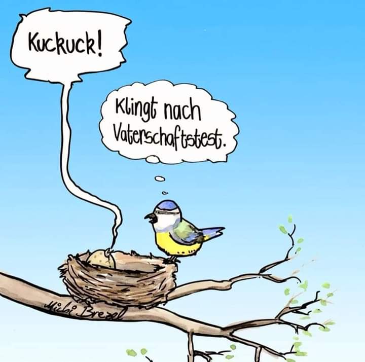 Vaterschaftstest der Vaterschaftstest - test na ojcostwo