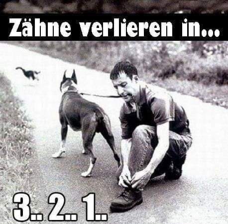 Zahn der Zahn - ząb