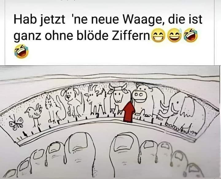 Ziffer die Ziffer - cyfra
