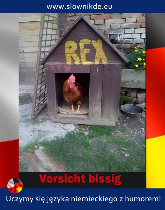 bissig