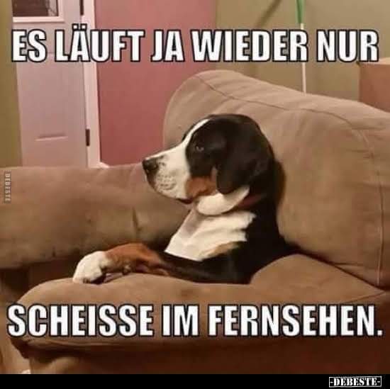 fernsehen