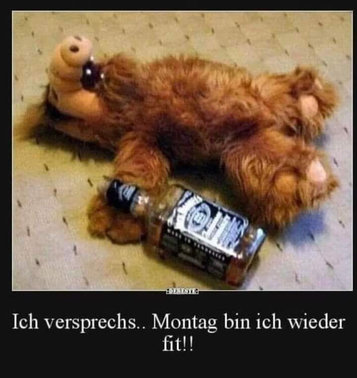 versprechen versprechen - obiecywać, przyrzekać
