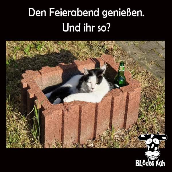 geniessen geniessen