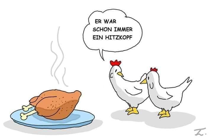 der Hitzkopf - zapaleniec