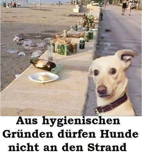 hygienisch hygienisch - higieniczny, higienicznie