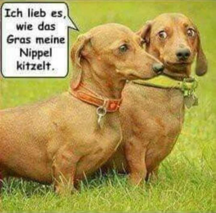 kitzeln - łaskotać, łechtać