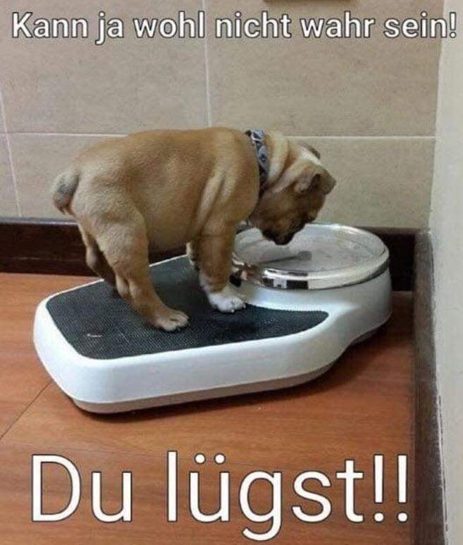 lugen lügen - kłamać, łgać, zmyślać