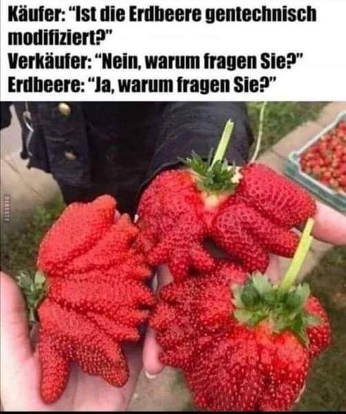 Erdbeere Erdbeere