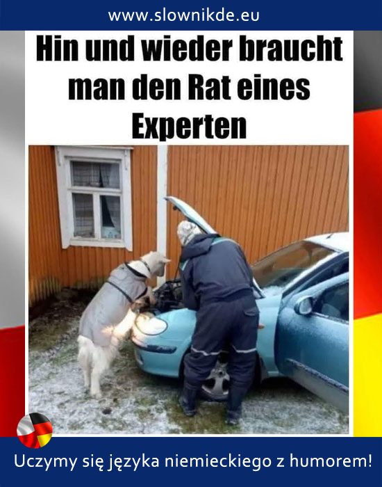 der Rat - rada, porada, narada