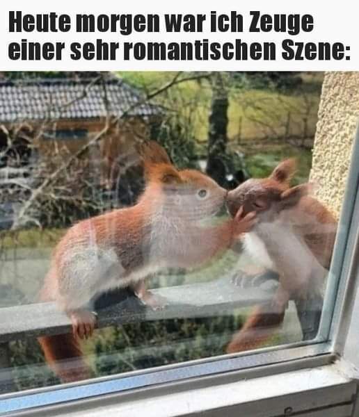 Szene die Szene - scena, krąg, środowisko
