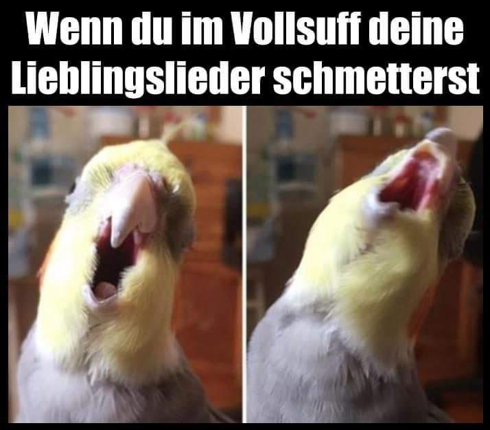 schmettern - cisnąć czymś o ścianę, ścinać