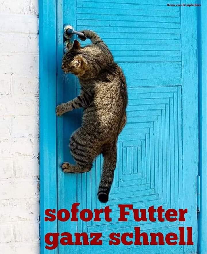 sofort sofort